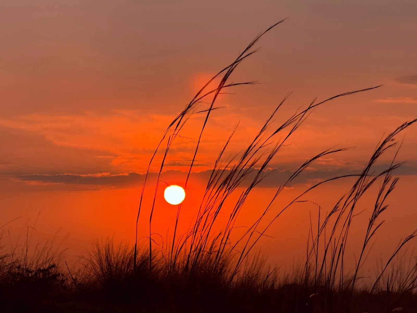 Tramonto sulla savana namibiana