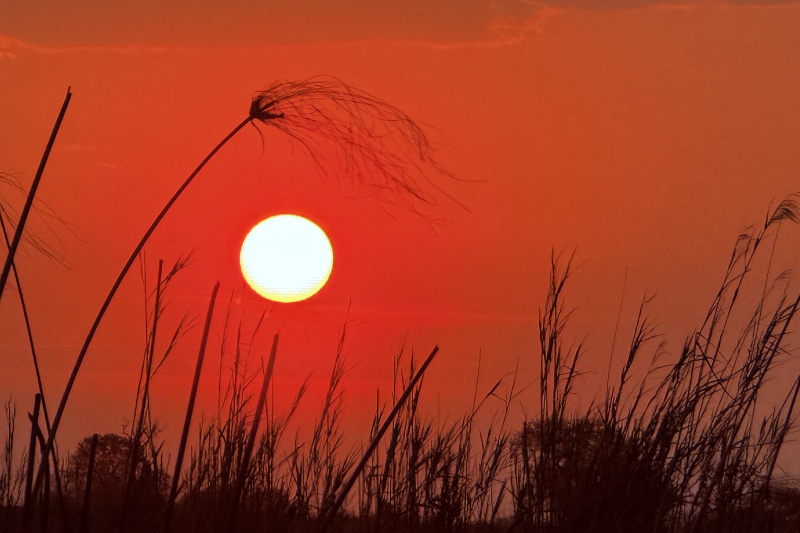 Cucina da campo organizzata accanto al veicolo in Namibia