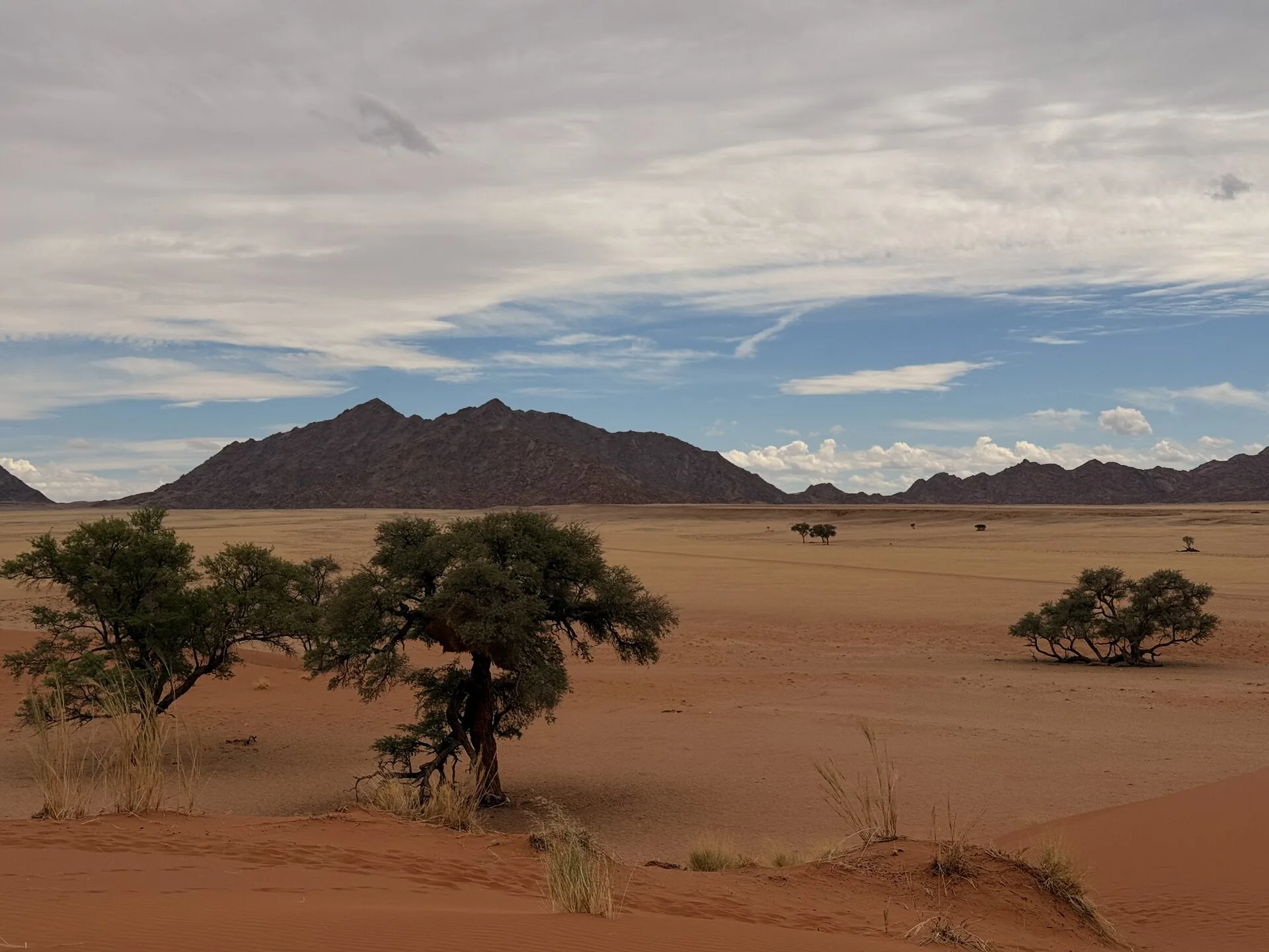 Panorama della savana namibiana al crepuscolo, spazi sconfinati e silenziosi