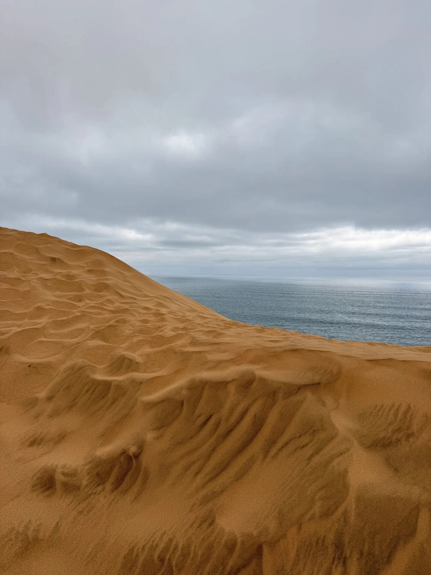 Le dune di Sandwich Harbour che incontrano l'oceano Atlantico
